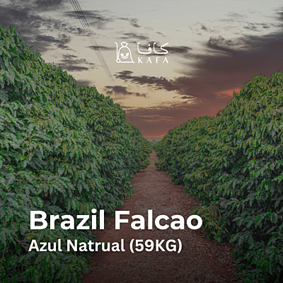 Brazil Falcao Azul Natrual (59KG) - E2400162