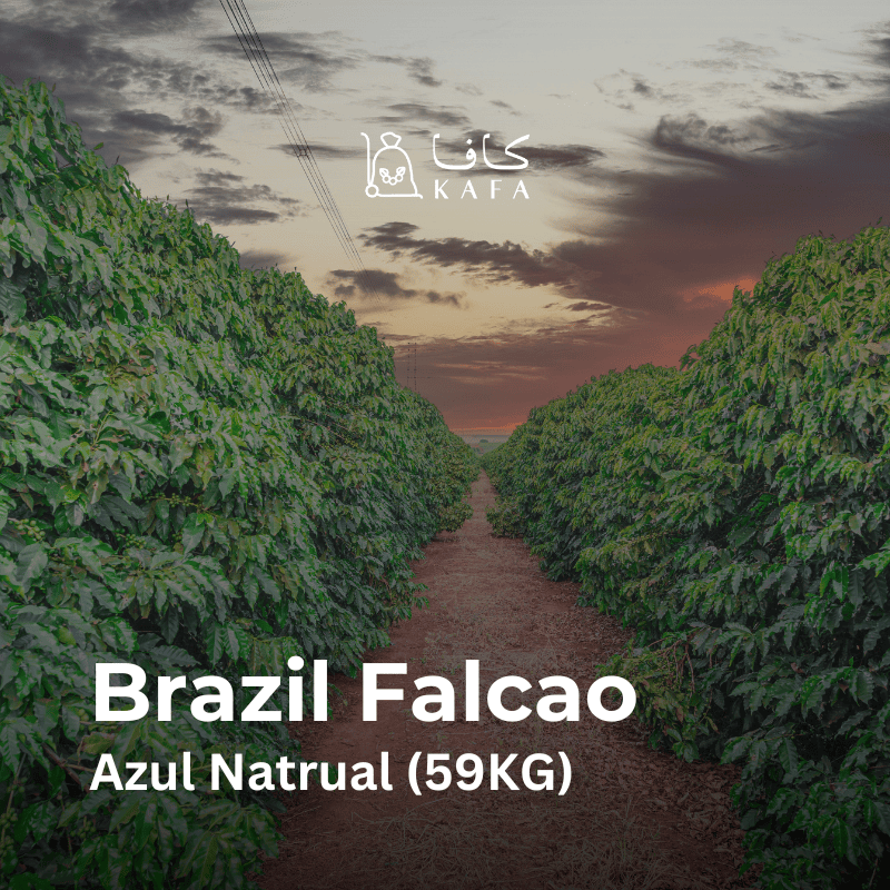 Brazil Falcao Azul Natrual (59KG) - E2400162 Brazil Falcao Azul Natrual (59KG) - E2400162