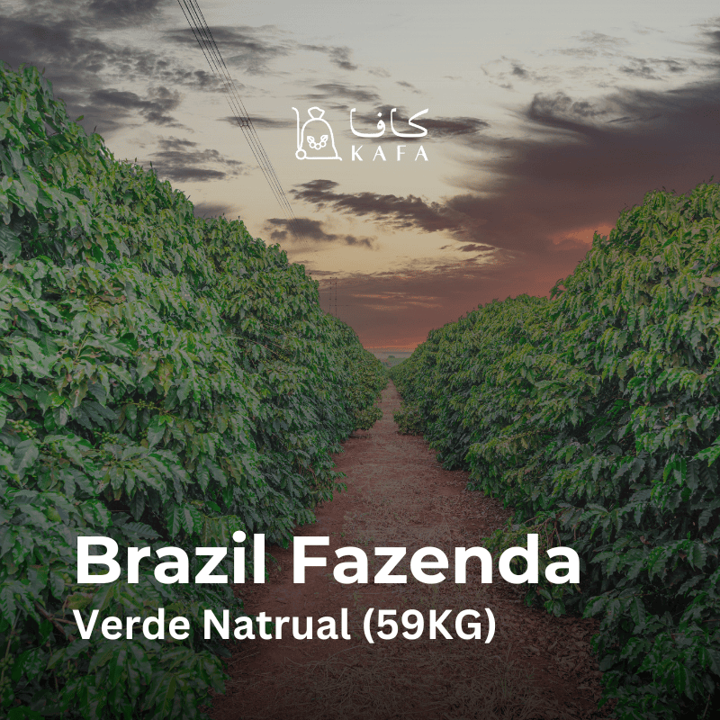 Brazil Fazenda Verde Natrual (59KG) - E2400161 Brazil Fazenda Verde Natrual (59KG) - E2400161