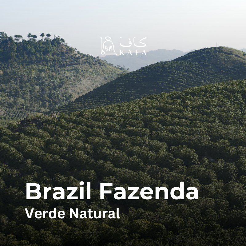 Brazil - Fazenda Verde Natural (60KG) - E240402