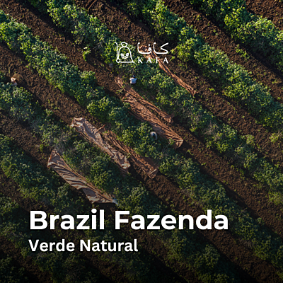 Brazil - Fazenda Verde Natural (60KG) - E240401