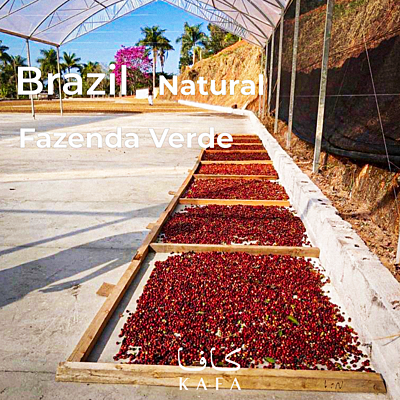 Brazil Fazenda Verde (59KG) - E230221