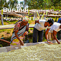 Burundi  Kayanza Red Bourbon Washed (60KG) - E230042