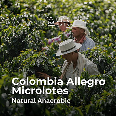 Colombia - Allegro Microlotes Natural Anaerobic (70KG) - E240202
