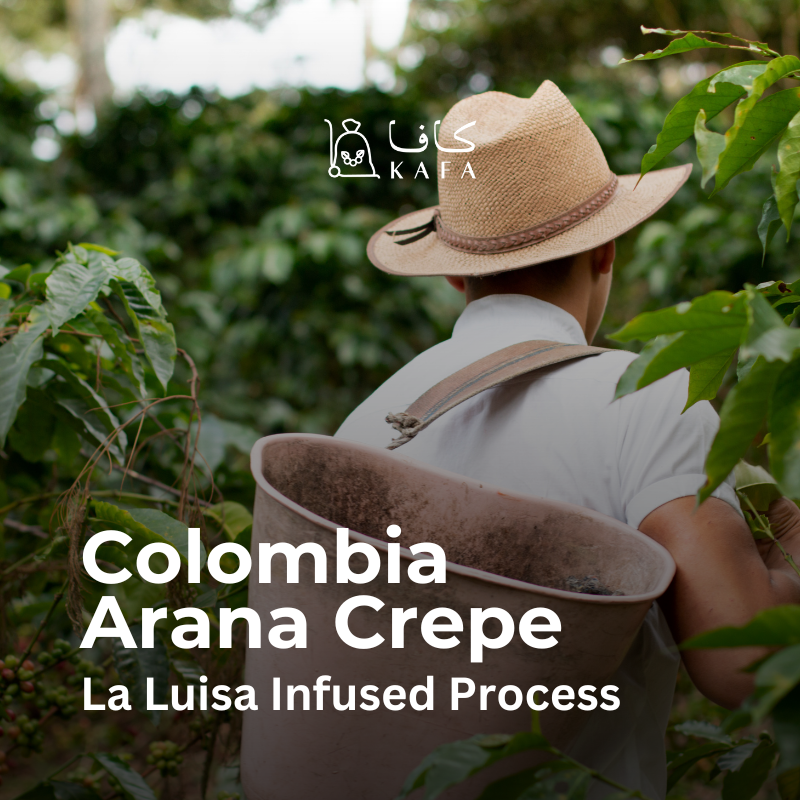 Colombia - Arana - La Luisa Infused Process (35KG) - E240251 Colombia - Arana - La Luisa Infused Process (35KG) - E240251