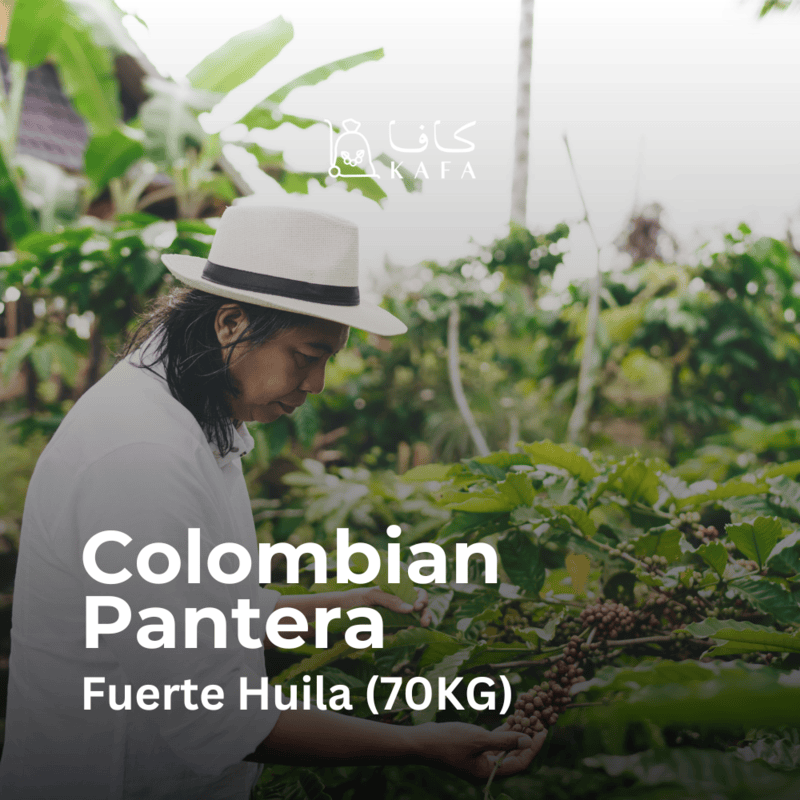 Colombia Pantera Fuerte Huila (70KG) - E240101
