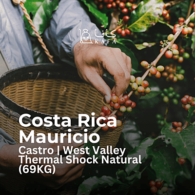 Costa Rica - Mauricio Castro | West Valley Thermal Shock Natural (69KG) - E240191
