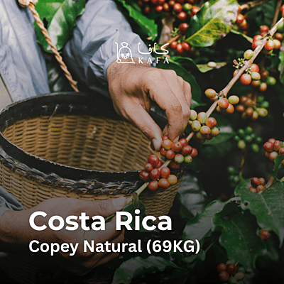 Costa Rica - Copey Natural (69KG) - E240226