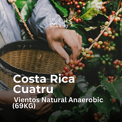 Costa Rica - Cuatru Vientos Natural Anaerobic (69KG) - E240221