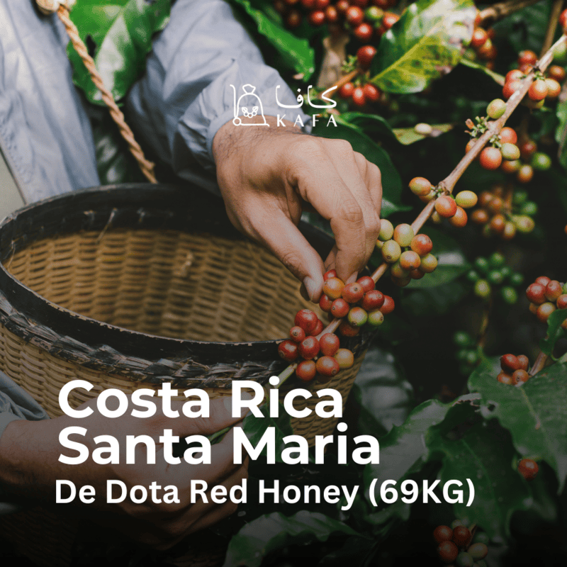 Costa Rica - Santa Maria de Dota Red Honey (69KG) - E240227 Costa Rica - Santa Maria de Dota Red Honey (69KG) - E240227