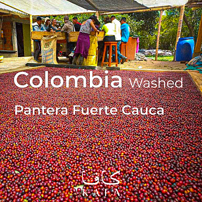 Colombia Pantera Fuerte Cauca washed (70 KG) - E230037