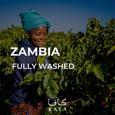 Zambia Fully Washed (60KG) - E230081
