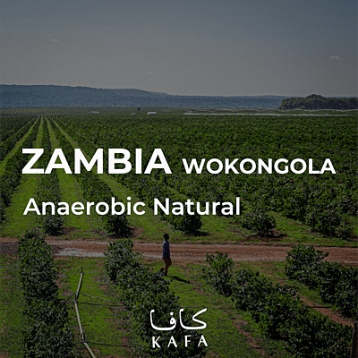 Zambia Wokongola Natural Anaerobic (25KG) - E230082