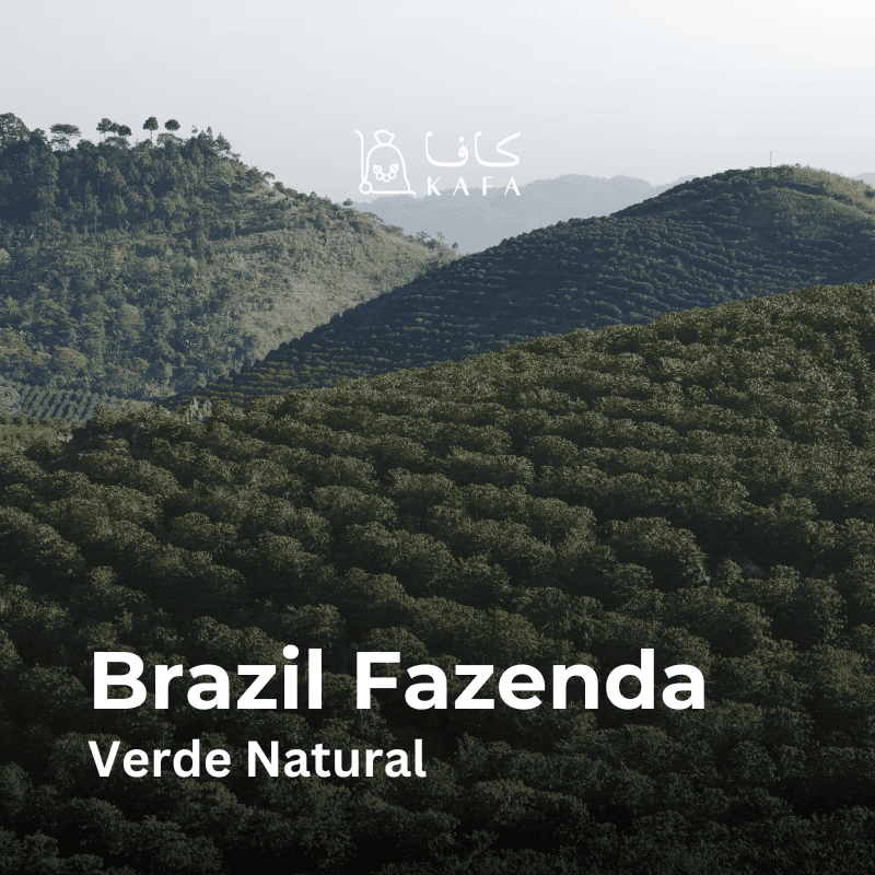 Brazil - Fazenda Verde Natural (10KG) - KE240402