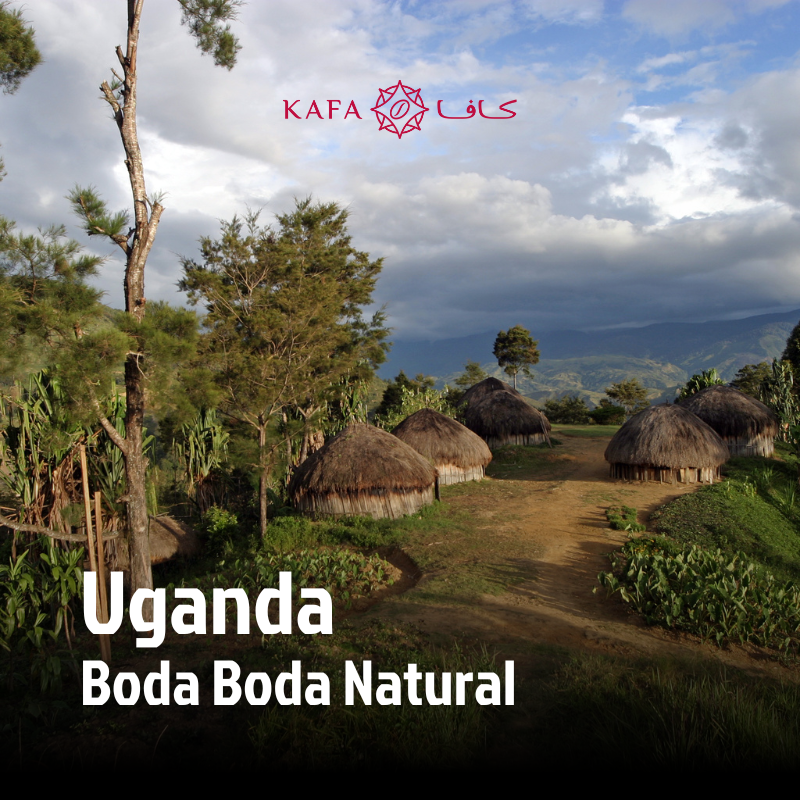 Uganda - Boda Boda Natural (60 KG) - E250011 Uganda - Boda Boda Natural (60 KG) - E250011