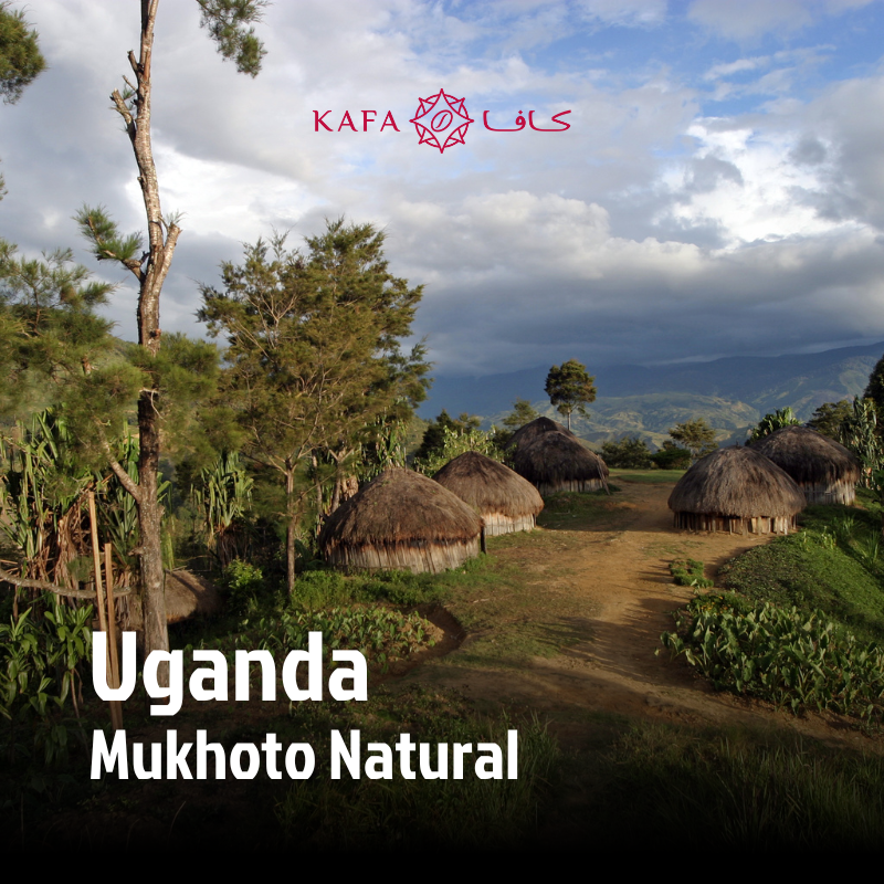 Uganda - Mukhoto Natural (60 KG) - E250012 Uganda - Mukhoto Natural (60 KG) - E250012
