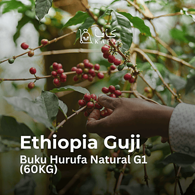 Ethiopia - Guji Buku Hurufa Natural G1 (60KG) - E240111