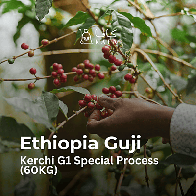 Ethiopia - Guji Kerchi G1 Special Process (60KG) - E240185
