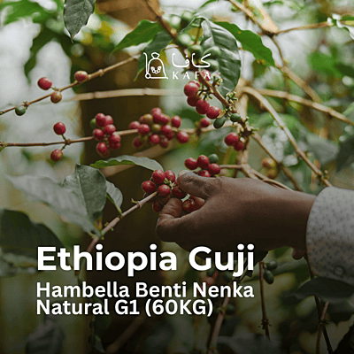 Ethiopia Guji Hambella Benti Nenka Natural G1 (60KG) - E240061