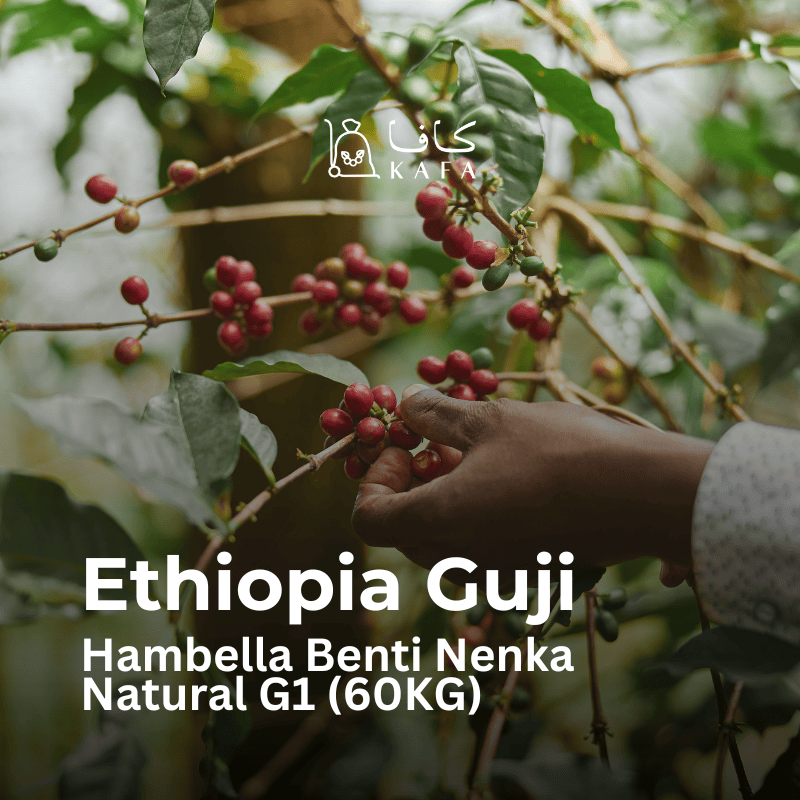 Ethiopia Guji Hambella Benti Nenka Natural G1 (60KG) - E240061 Ethiopia Guji Hambella Benti Nenka Natural G1 (60KG) - E240061