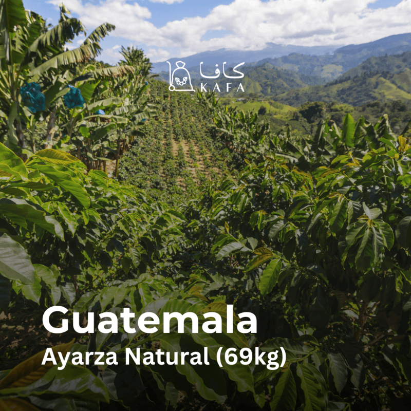 Guatemala Ayarza Natural (69kg) - E230192 Guatemala Ayarza Natural (69kg) - E230192