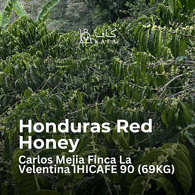Honduras - Red Honey - Carlos Mejia - Finca La Velentina - IHICAFE 90 (69KG) - P22232