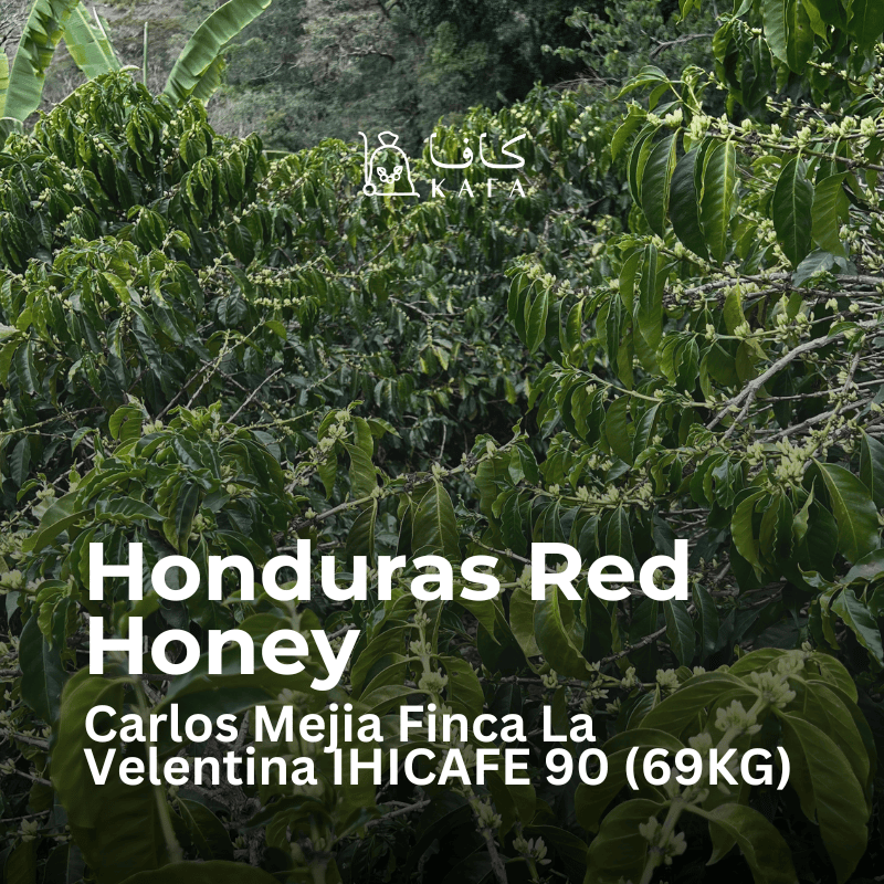 Honduras - Red Honey - Carlos Mejia - Finca La Velentina - IHICAFE 90 (69KG) - P22232 Honduras - Red Honey - Carlos Mejia - Finca La Velentina - IHICAFE 90 (69KG) - P22232