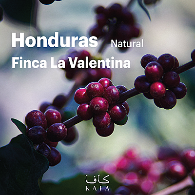 Honduras La Valentina Natural Pacas (69KG) - P18989