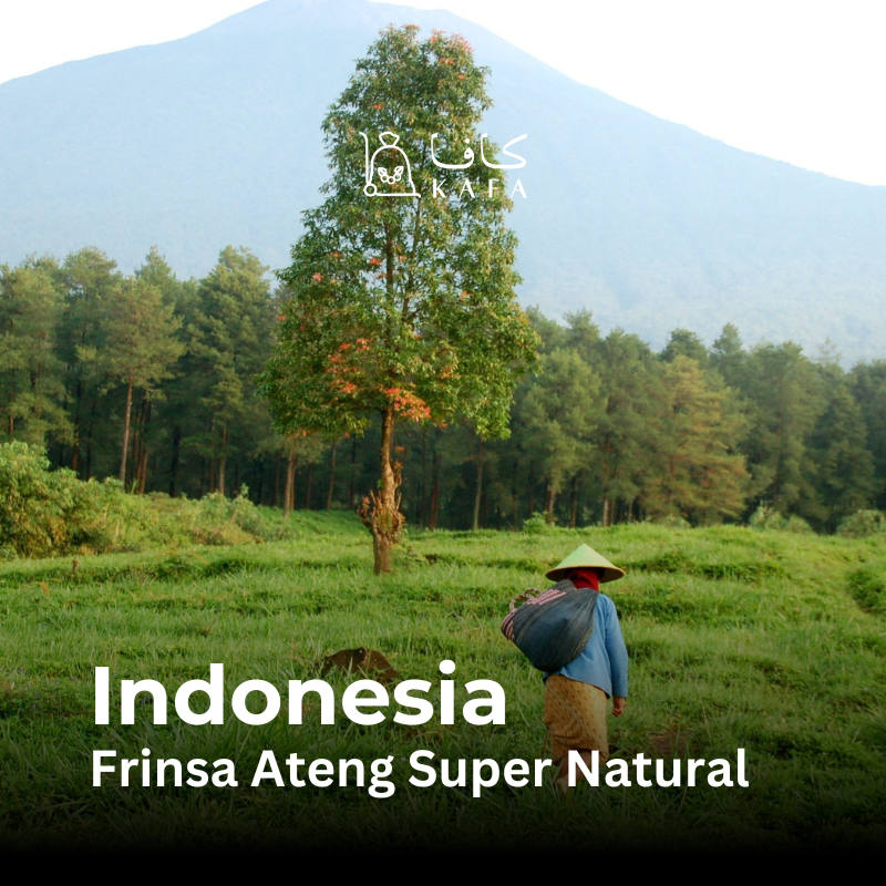 Indonesia - Frinsa Ateng Super Natural (30KG) - E240364 Indonesia - Frinsa Ateng Super Natural (30KG) - E240364