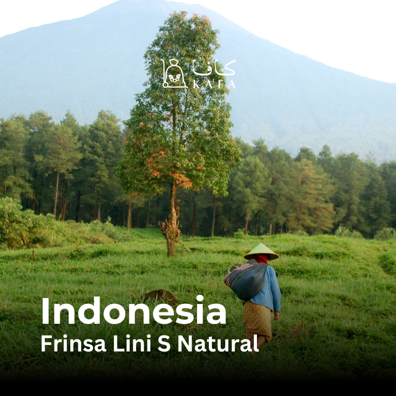 Indonesia - Frinsa Lini S Natural (30KG) - E240362 Indonesia - Frinsa Lini S Natural (30KG) - E240362