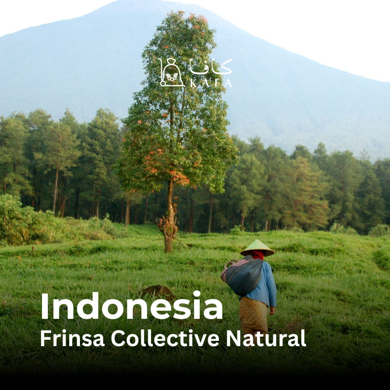 Indonesia - Frinsa collective Natural (60KG) - E240361 Indonesia - Frinsa collective Natural (60KG) - E240361