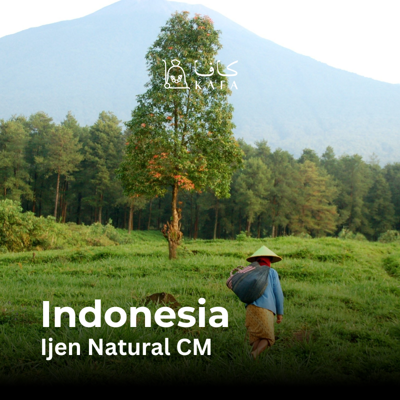 Indonesia - Ijen Natural CM (30KG) - E240365