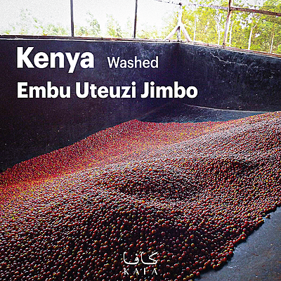 Kenya - Uteuzi Jimbo Washed - Embu (60kg) - P15352
