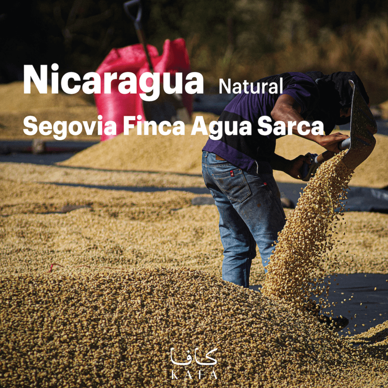 Nicaragua Segovia Finca El Tizal Natural (69 Kg) - P19528