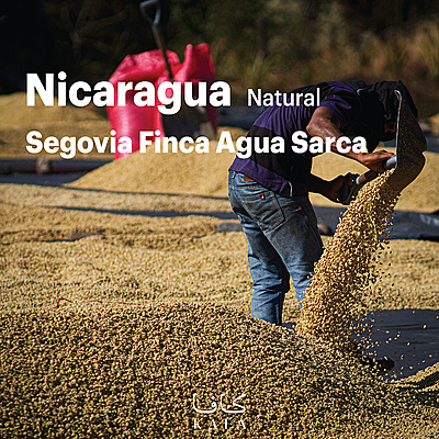Nicaragua Segovia Finca Agua Sarca Natural (69 Kg) - P18800