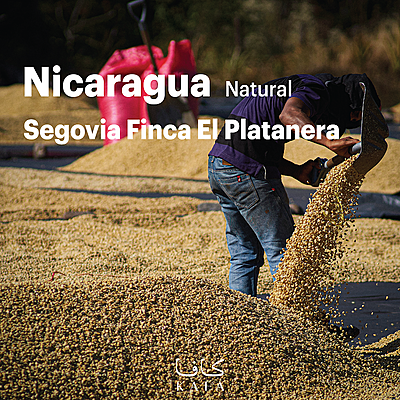 Nicaragua Segovia Finca El Platanera Natural (69 Kg) - P19527