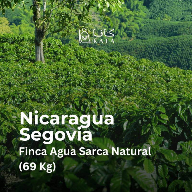 Nicaragua Segovia Finca Agua Sarca Natural (69 Kg) - P18800 Nicaragua Segovia Finca Agua Sarca Natural (69 Kg) - P18800