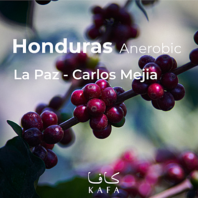 Honduras- Anerobic Natural- La Paz Carlos Mejia - Finca La Valentina Red Catuai & IHCAFE90 (69KG) - P20616