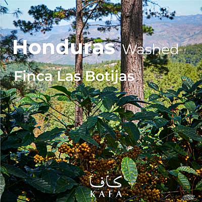 Honduras- washed- Regional Select Comayagua - Finca Las Botijas (69KG)- P20807