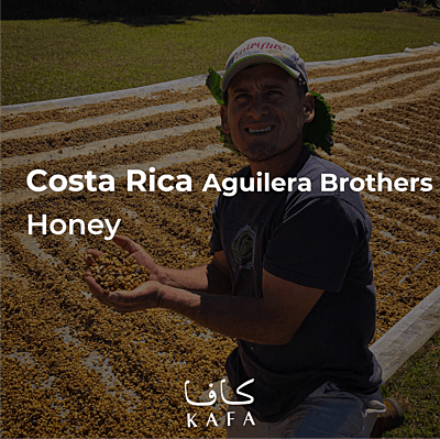Costa Rica Aguilera Brothers Micromill- Finca Chayote- Honey (69KG) - P20909