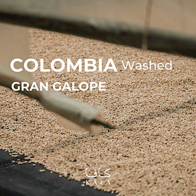 Colombia Gran Galope - Huila - Washed (70KG) - P21633