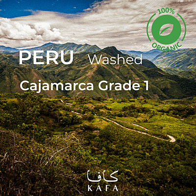 Peru San Ignacio Organic Cajamarca Washed (60KG) - E230044