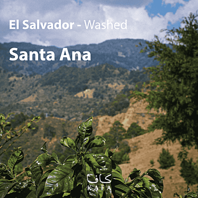 El Salvador- washed- Santa Ana (69KG) - P20804