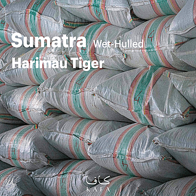 Sumatra Harimau Tiger Wet-Hulled (60KG) - P18631