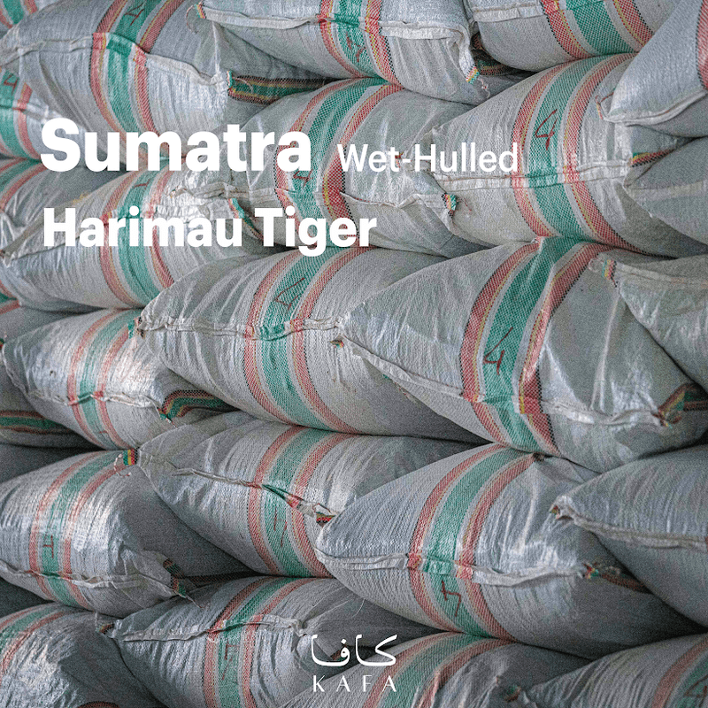 Sumatra Harimau Tiger Wet-Hulled (60KG) - P18631