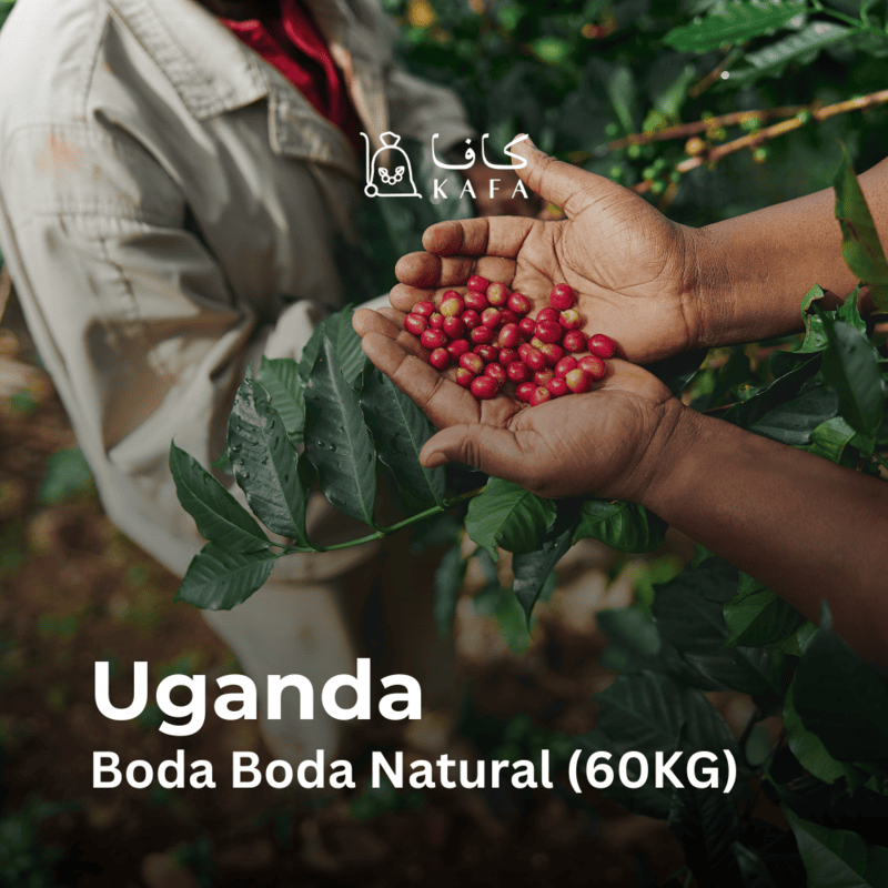 Uganda Boda Boda Natural (60KG) - E240041 Uganda Boda Boda Natural (60KG) - E240041