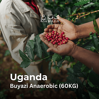 Uganda Buyazi Anaerobic (60KG)- E240142